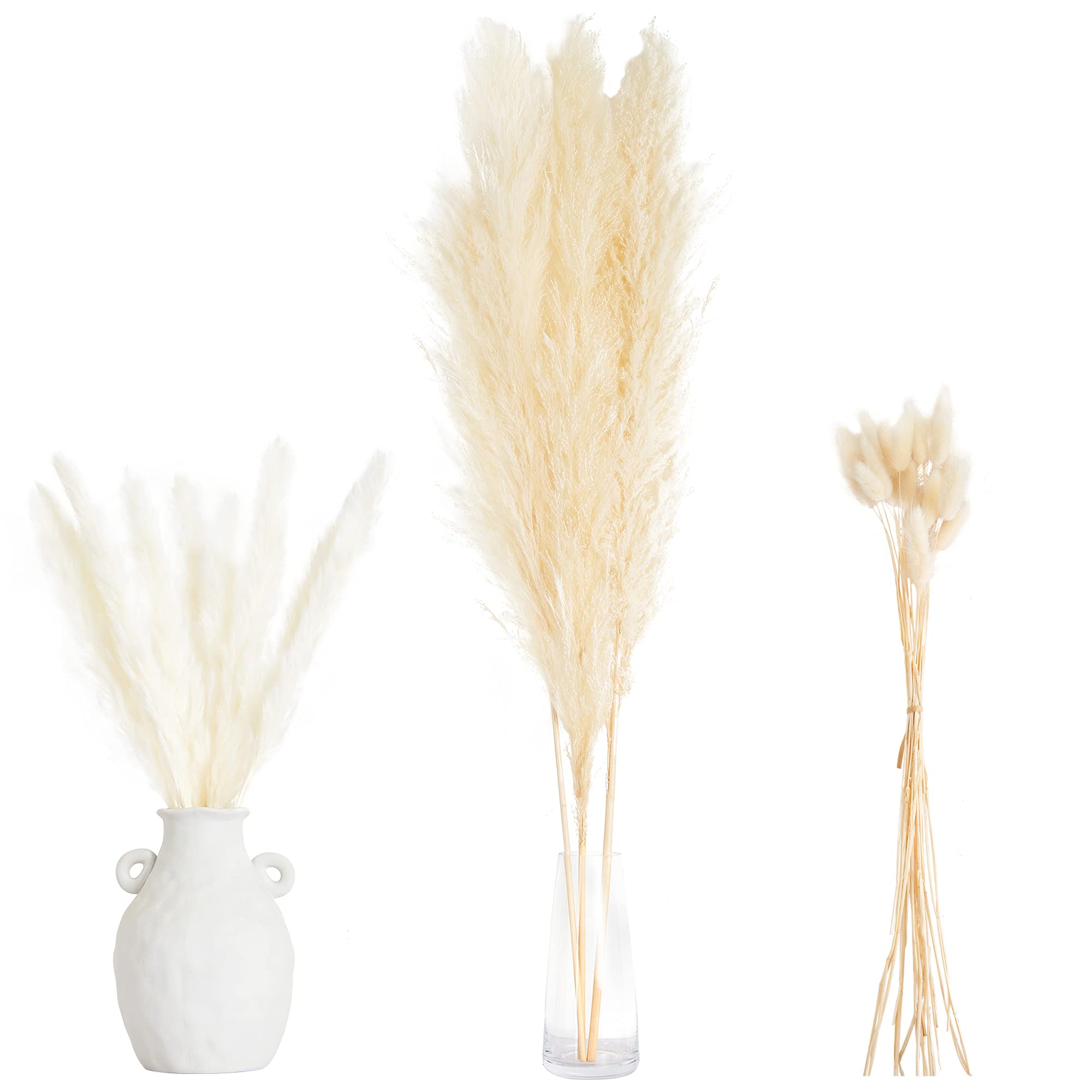 Buy KyEssentials Pampas Grass All in One Pampas Grass Decor Bundle