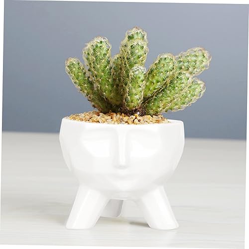 Miniatura 6 de GANAZONO Maceta con forma de cara blanca para plantas de interior, decoración de plantas, flores secas, decoración de cerámica, maceta decorativa de