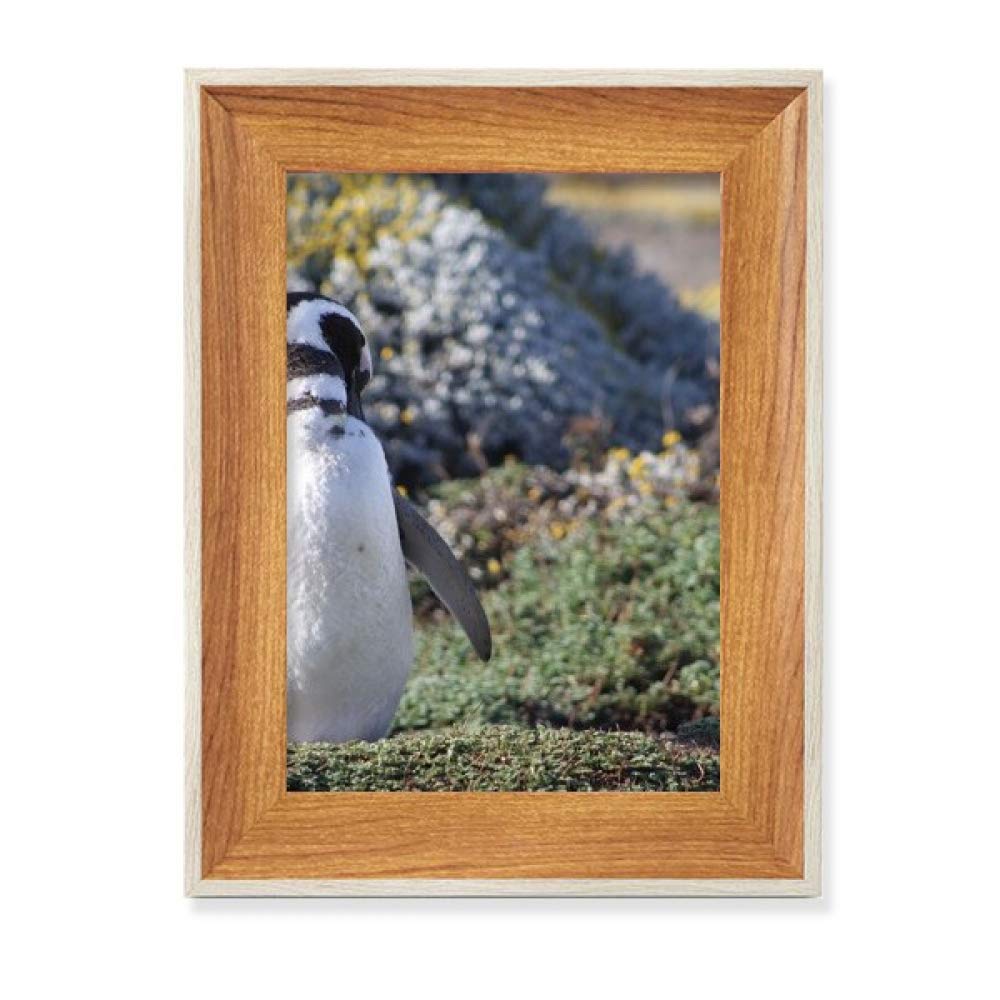 Cadre de photo en bois pour tableau art peinture pingouin