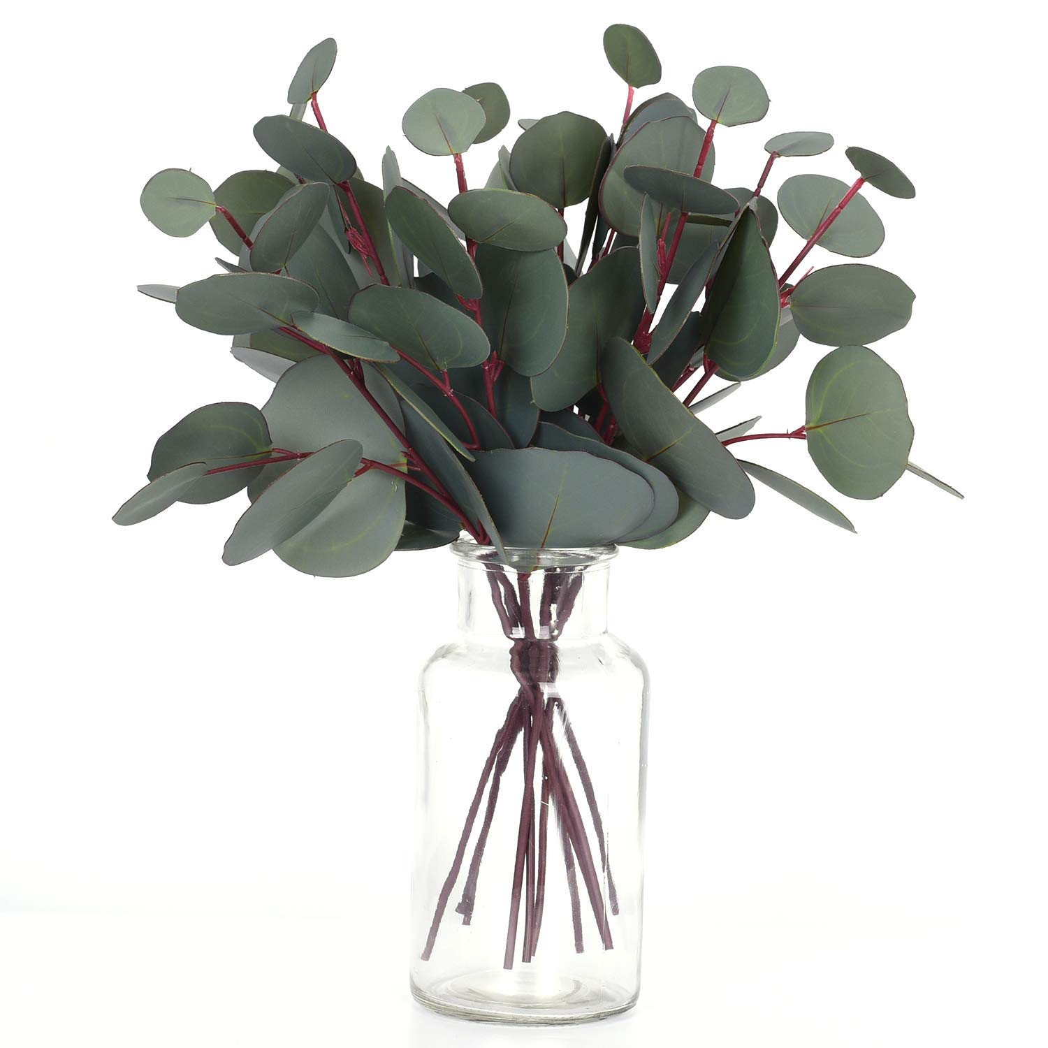 eucalyptus decor vase