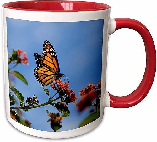 3dRose Danita Delimont - Butterflies - USA, California. Mariposa monarca sobre flor de lantana. - Tazas Red/White,Black,Blue,Green,Varios