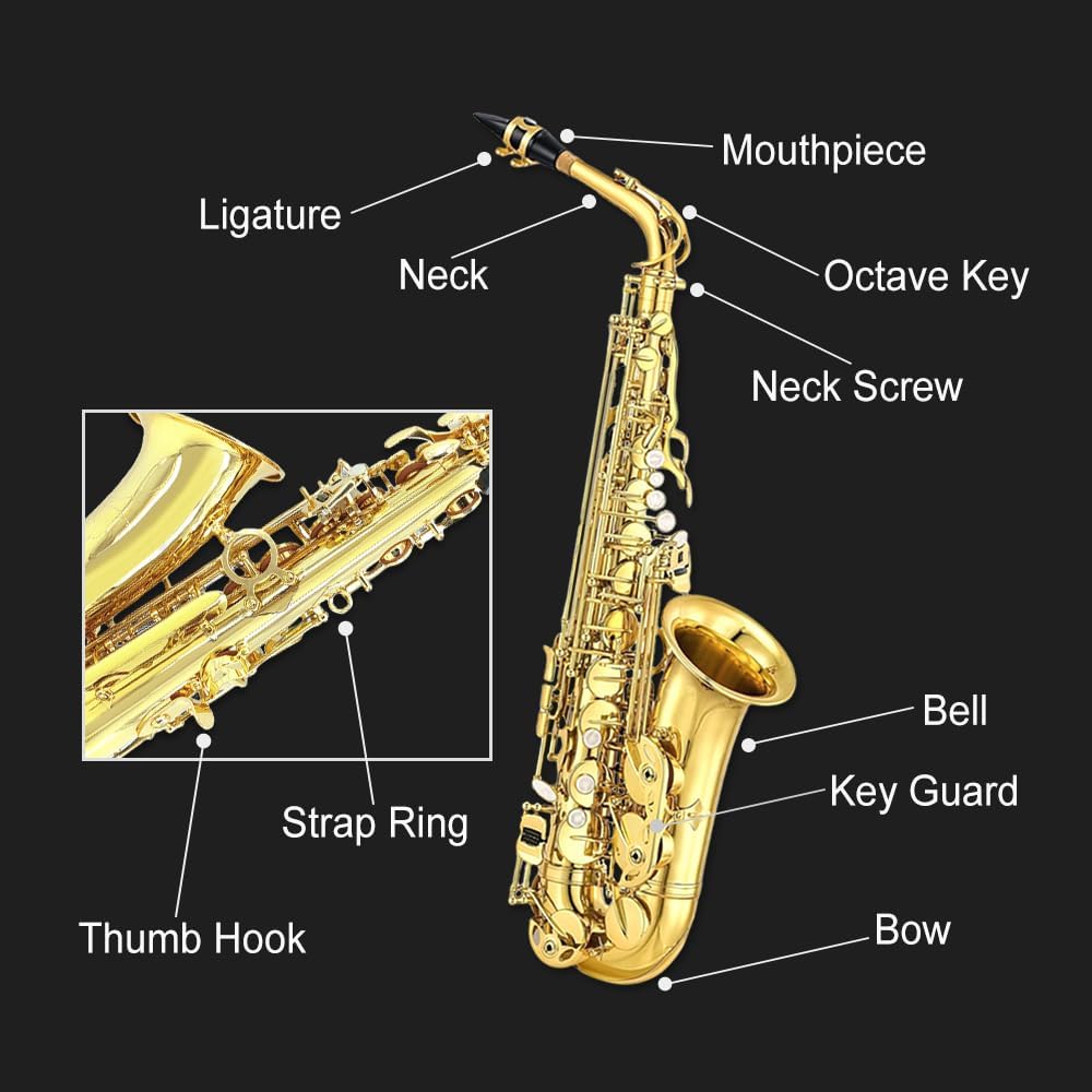 Vetimobato Student Alto Saxophone E Flat for Adults Beginner to Intermediate Eb Sax Kit Gold Lacquer Full Brass Instrument with Hard Case, Mouthpiece, 10 Reeds, 8 pads, Neck strap, Cleaning Kit