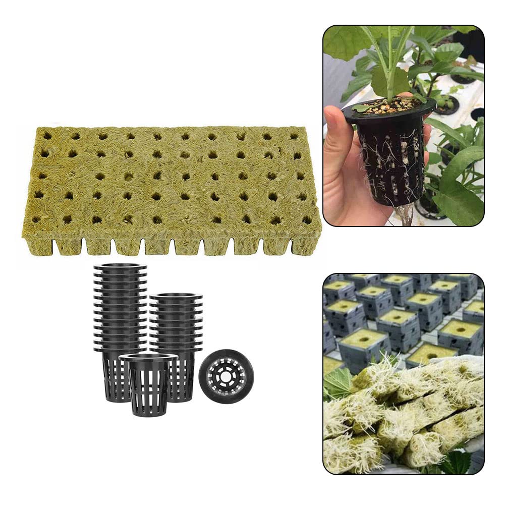FUBESK Set di 50 vasi idroponici a rete, vaso , vaso da giardino in plastica, cubi con vasi a rete per , acquaponica, coltivazione, giardino verticale
