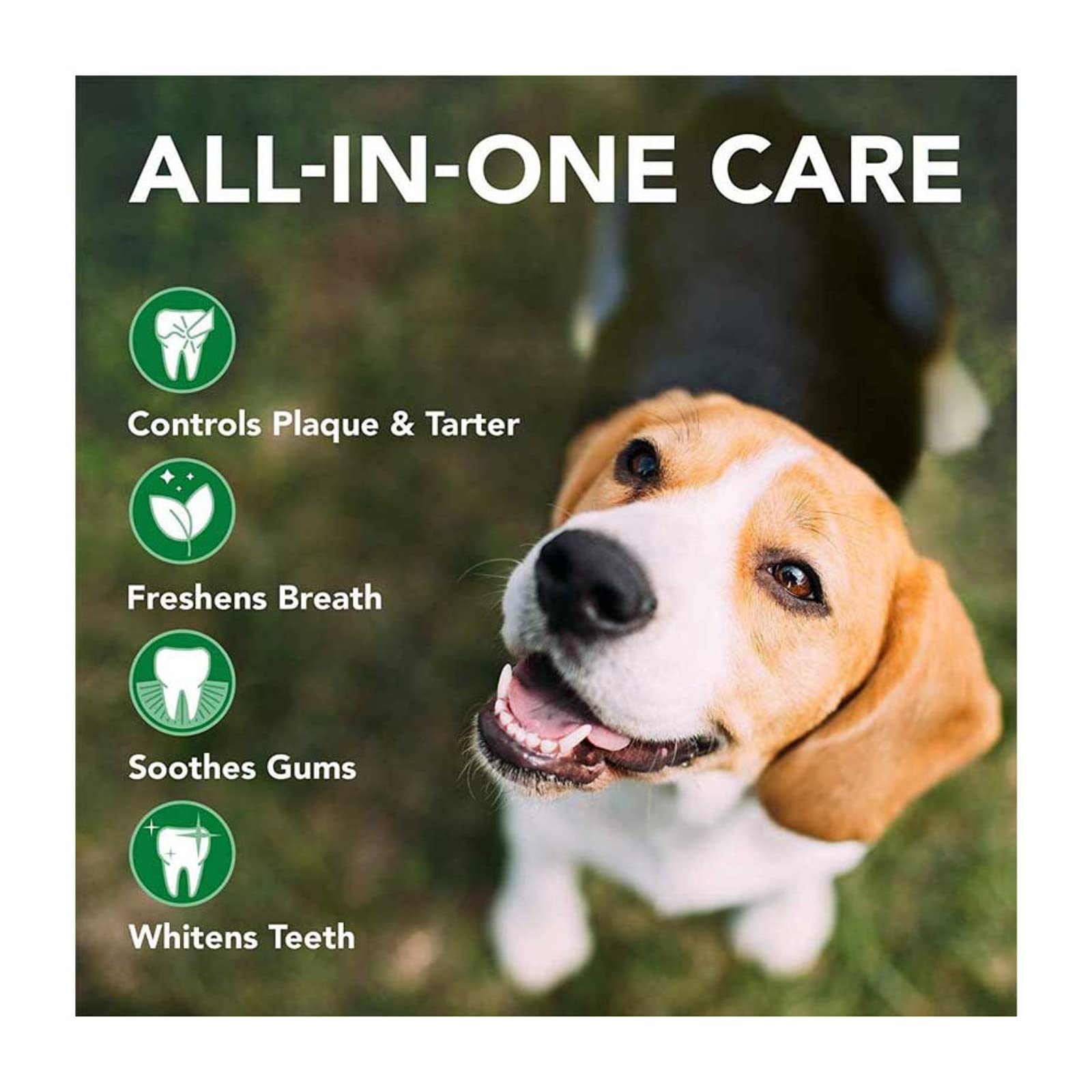 Vets Best Advanced Dental Foam for Dogs 150ml : Amazon.ae: Pet