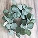 Supla 10 Pcs Fake Eucalyptus Leaves Stems Bulk Artificial Silver Dollar Plant in Grey Green 11.8