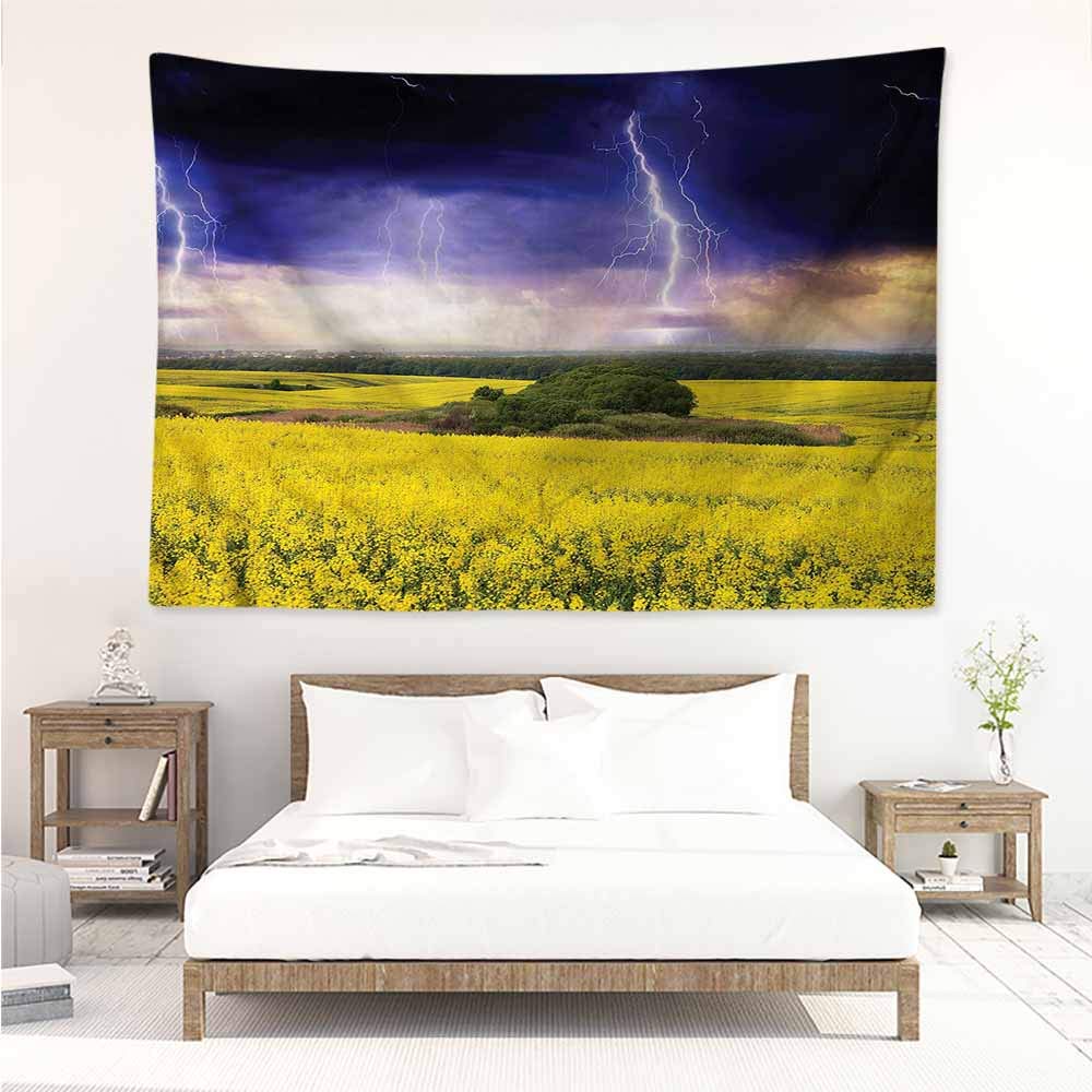 Sunnyhome Big Tapestry,Nature Majestic Storm Meadow,Literary Small Fresh,W80x60L