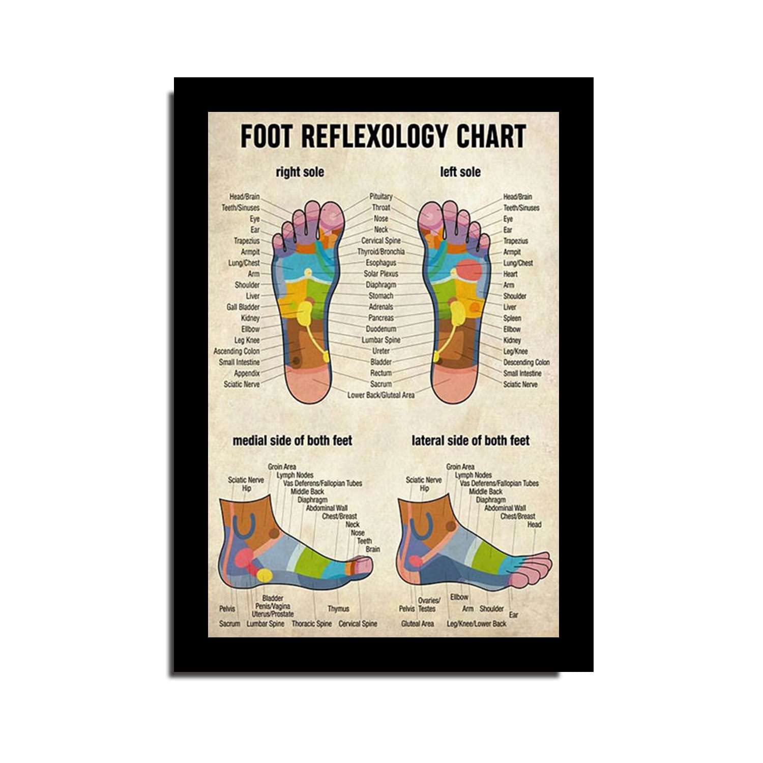 Prostate Reflexology Foot Chart Reflexology Foot Chart Stock