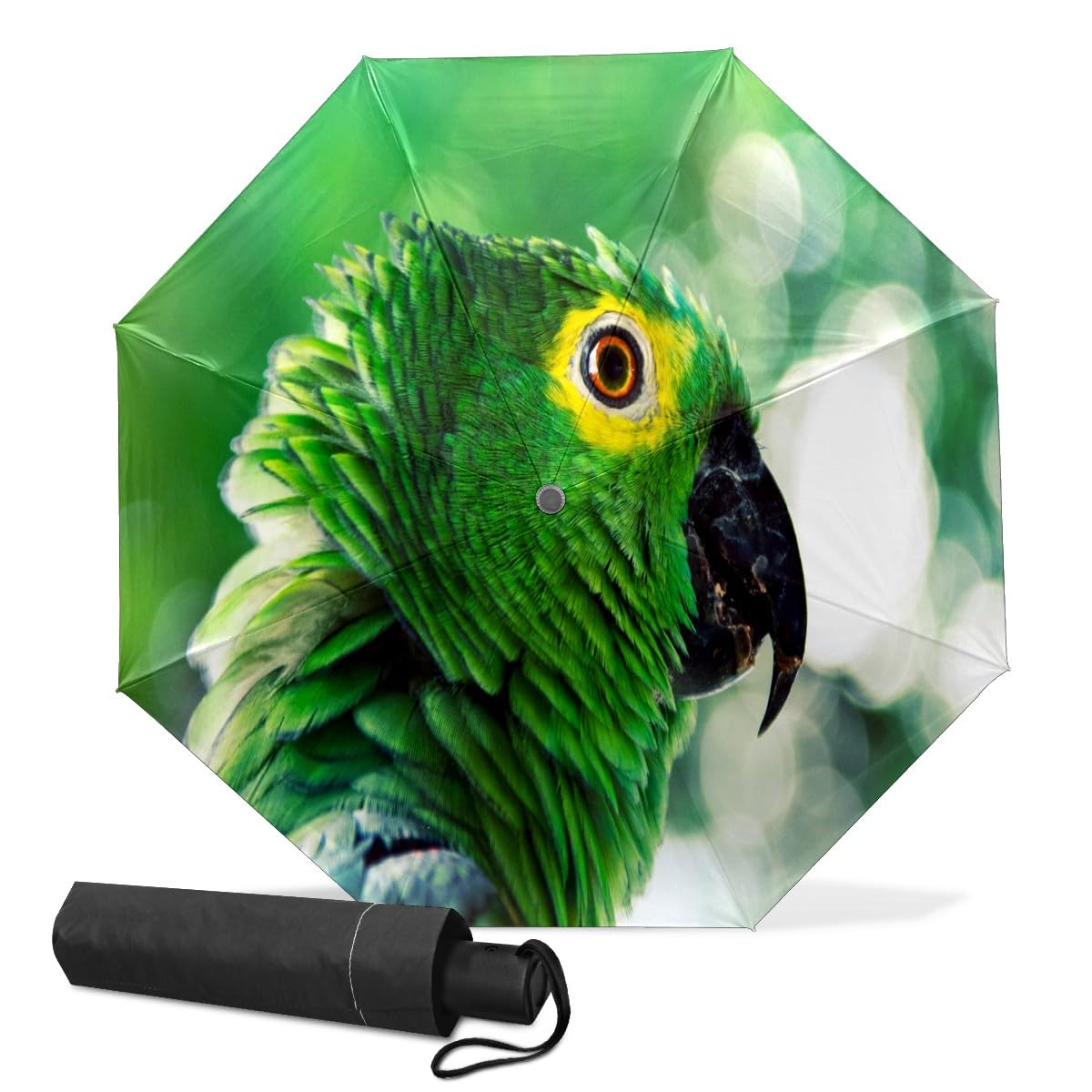 GISPOG Automatic Folding Umbrella, Green Parrot Bird Waterproof Compact Sun and Rain Travel Umbrellas for Women & Men