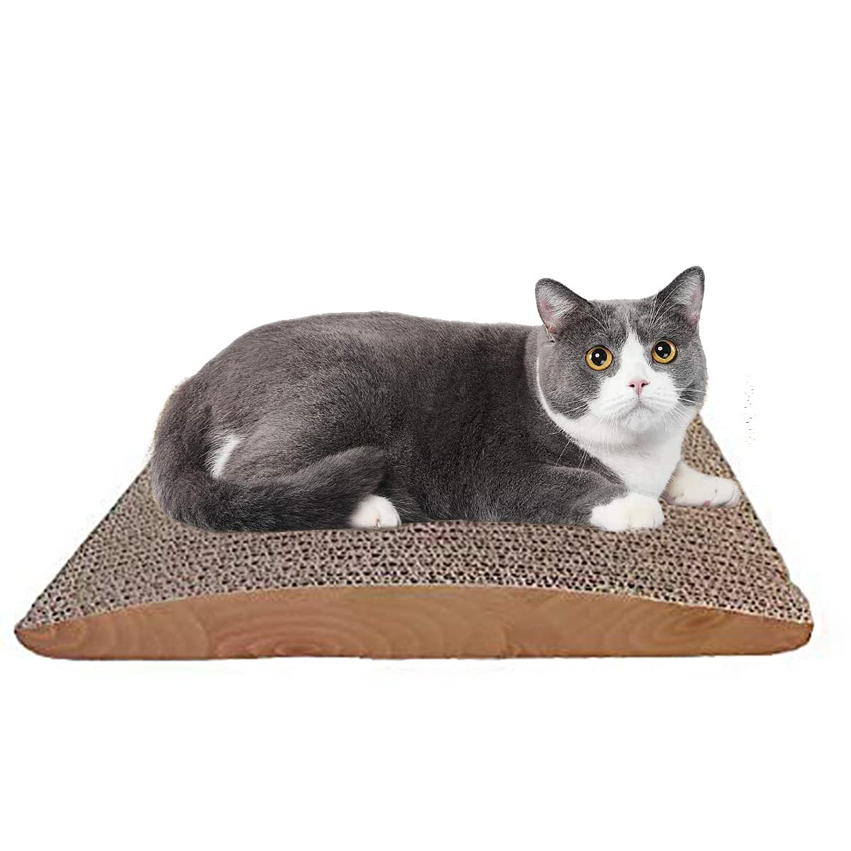 Black Dog Cat Scratcher + Scratch Pad for Cat Cardboard Mat with Premium Scratch Textures Interactive Design Durable Cat Scratching Pad Reversible (B09DKYM9SN) Amazon Price History, Amazon Price Tracker