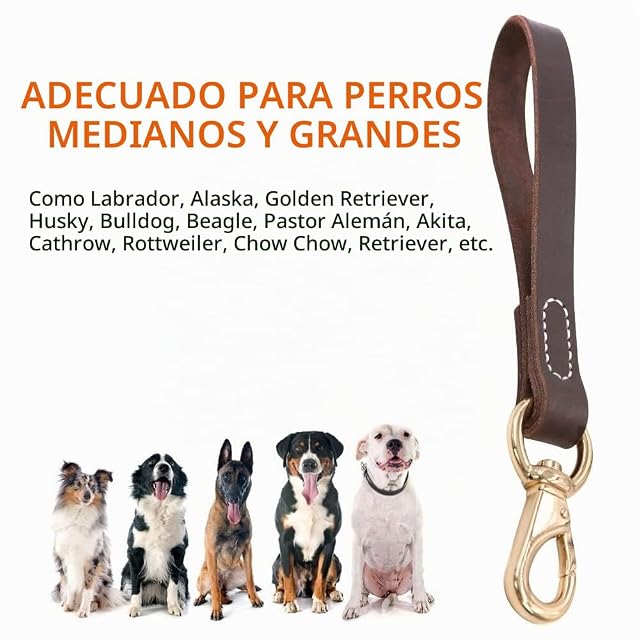 Foto 7 de 8 de DONGKER Correa corta para perro de 11.8 pulgadas, correa de cuero para perro sin enredos