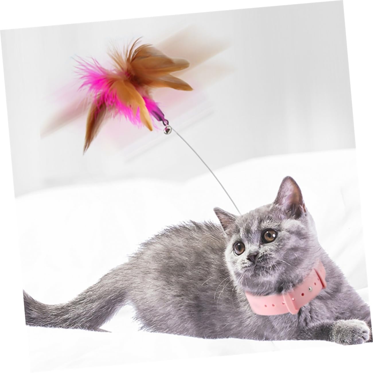Toyvian Collar De Juguete para Gatos Juguete para Mascotas Gatos para Gatitos Mordeduras