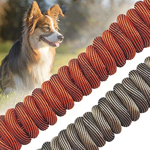 Best Dog TieOuts & Stakes Buying Guide Gistgear