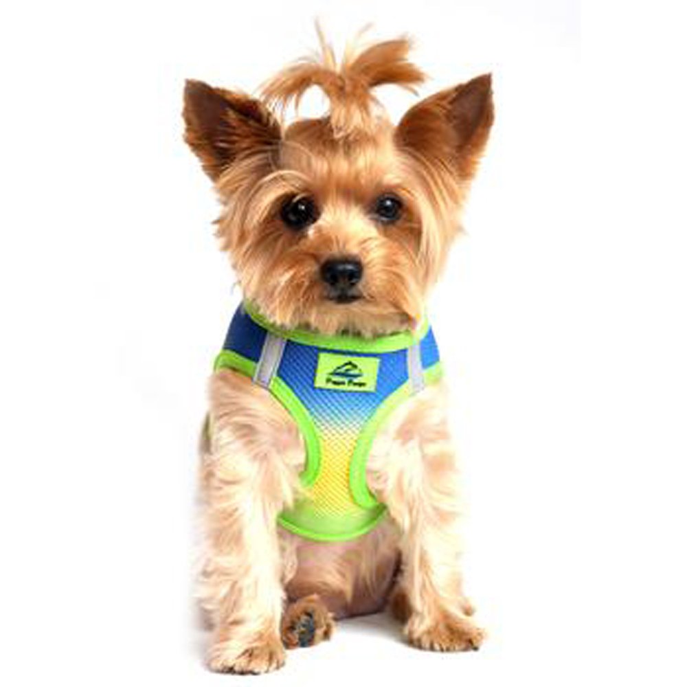 DOGGIE DESIGN American River Dog Harness Ombre Collection - Colbalt Sport