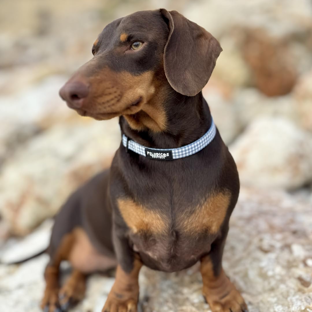 Pack Collar,Correa y Portabolsas Vaquero para Perro Ajustables de Neopreno – Diseño Vichy, Cómodos y Resistentes – 4 Tallas