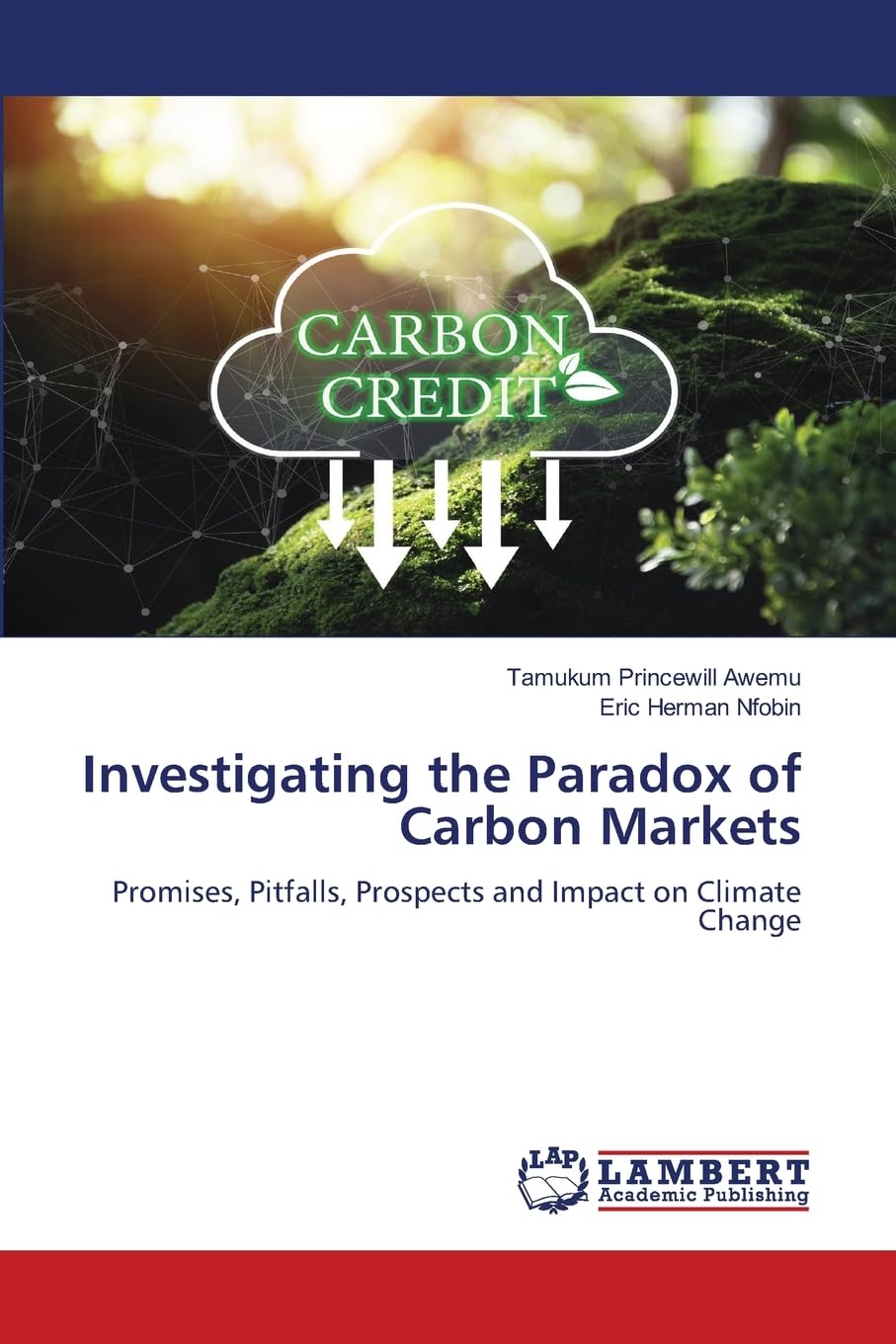 Investigating the Paradox of Carbon Markets: Promises, Pitfalls, Prospects and Impact on Climate Change