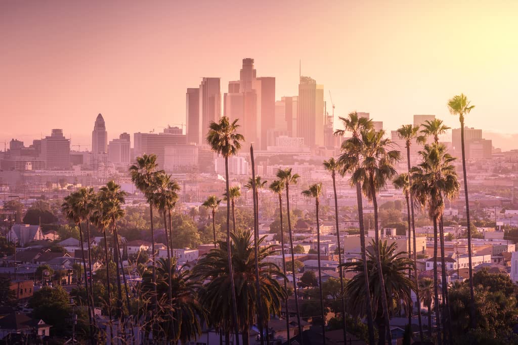 Los Angeles California City Skyline Sunset Landscape Photo Cool