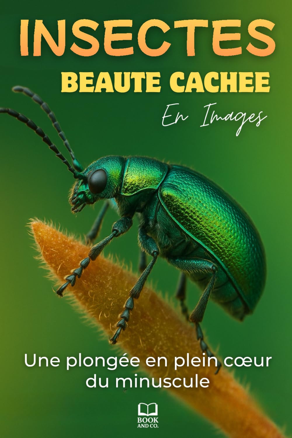 Insectes, Beauté cachée: Une plongée en plein cœur du minuscule. Livre Photo Insectes en Macro