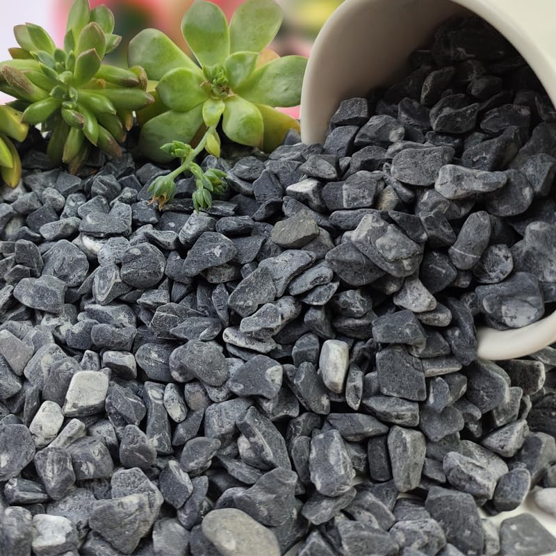 2KG Natural Black Marble Chips – Decorative Stones | Garden Landscaping | Eco-Friendly & Non-Toxic | Indoor Outdoor Use-image-43