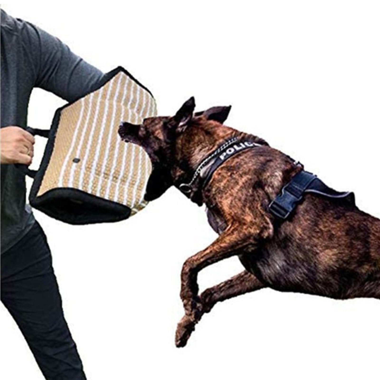 Set De Adiestramiento Para Mordeduras De Perro Manga Mordedora Para Perros Juguete Para Perros Palo De Adiestramiento Para Perros Equipo De Adiestramiento Profesional Para Adiestrar, Morder, Inter