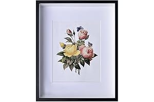 EKMAX 16x20 Shadow Box Frame in Black with Linen Back: Timeless Treasures, Enhanced
