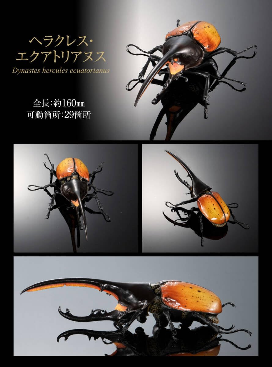 Amazon.co.jp: いきもの大図鑑アドバンス ゾウカブトとヘラクレス