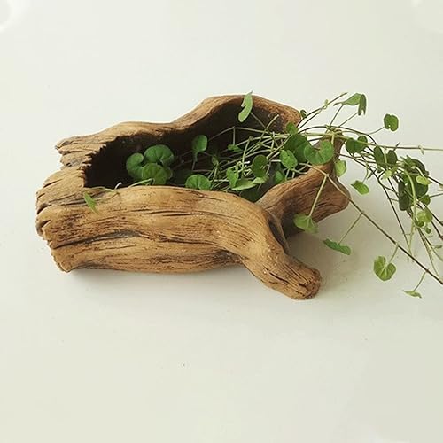 Maceta, macetas vintage, maceta de cemento de imitación de tocón, raíz de árbol, maceta de madera para suculentas, macetas, decoración de bonsái