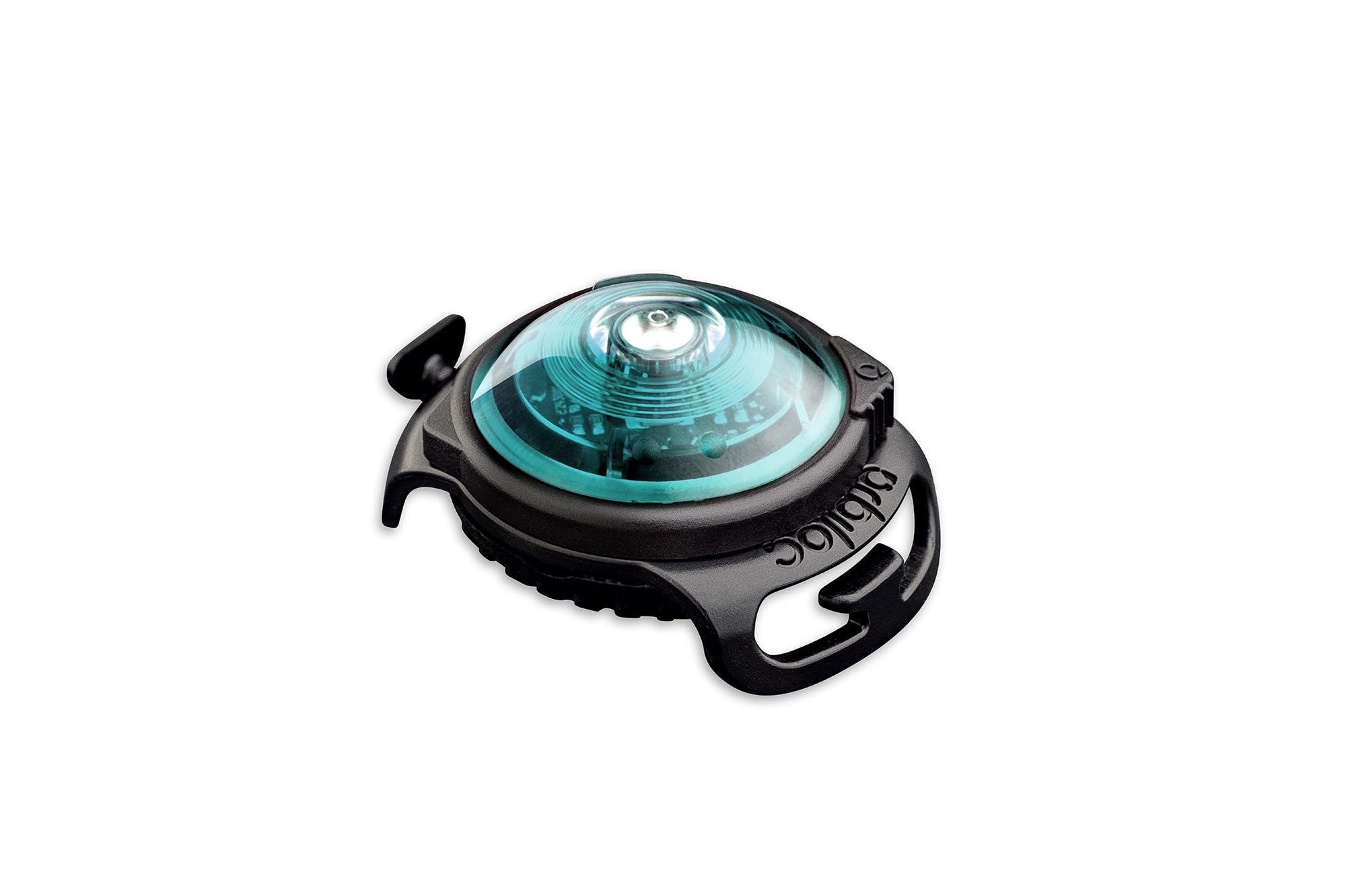 Orbiloc (One Size, Turquoise) Dog Safety Light Multicoloured