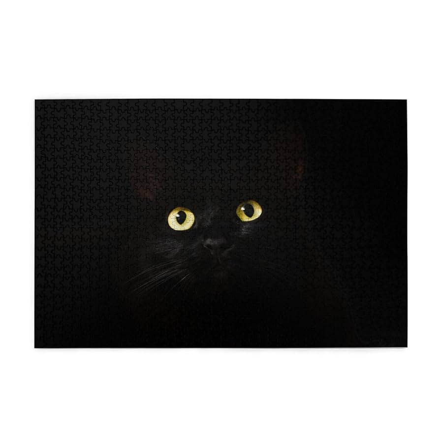 黒猫　　シビックタイプR ジグソーパズル2個セット 黒猫 シビックタイプR ジグソーパズル2個セット 黒猫 シビック