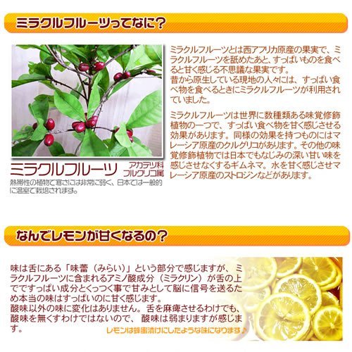 Amazon | ミラクルフルーツ 5粒入り×6袋 30粒 | Argama | サプリメント