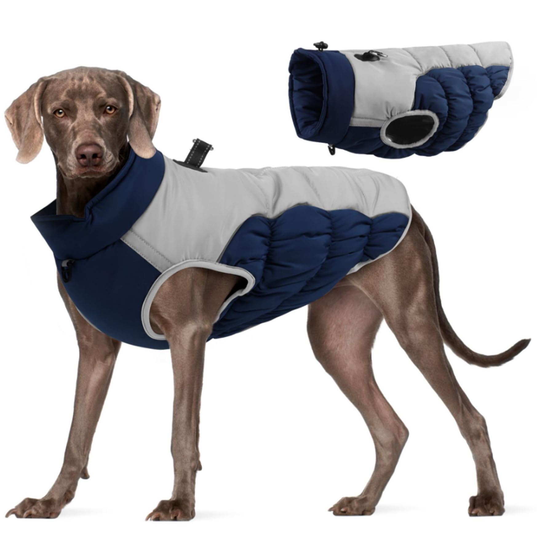 Manteau d'hiver pour chien imperméable pour ne plus mouiller le pelage en balade