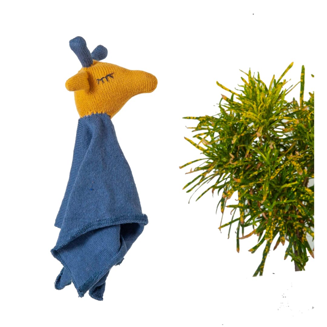 MOJOPANDA Giraffe Comforter Mustard and Blue Stuffed/Plush/Soft Toy | 100% Organic Cotton-image-3