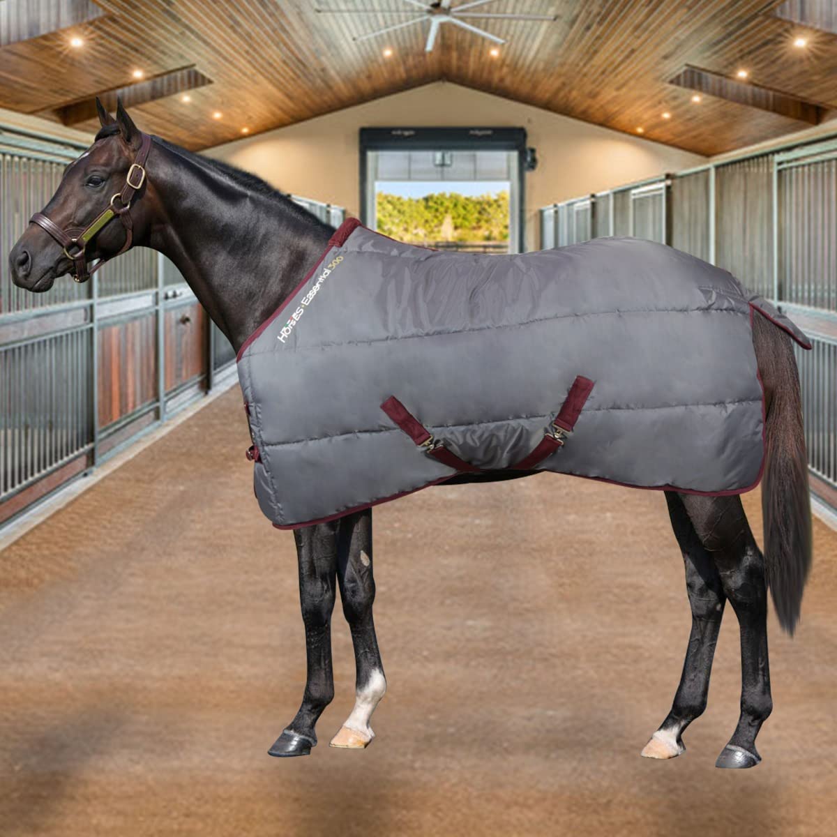 Horses Coperta Box Essential 300g, Ottima Fattura, Utile per Proteggere Il Cavallo dagli Sbalzi di Temperatura, dalla Pioggia e dagli Insetti