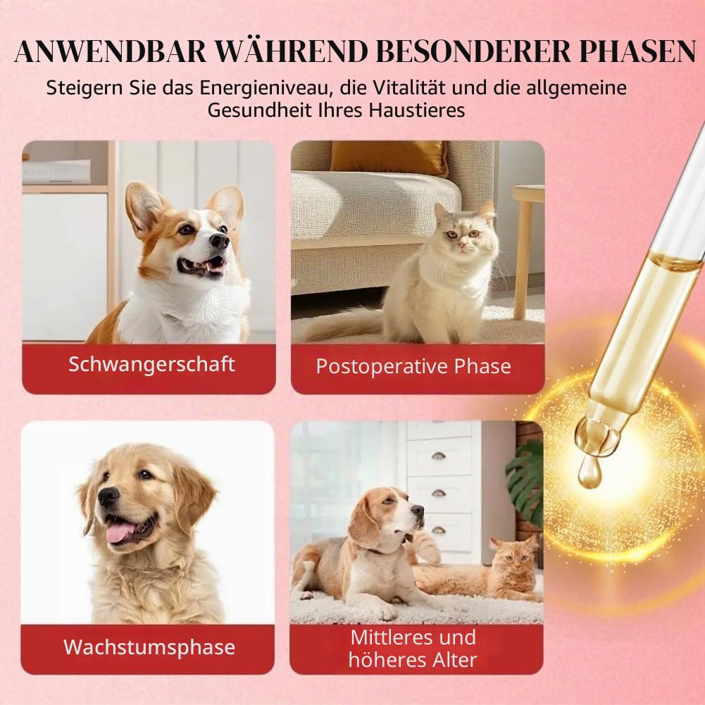Flüssige Eisenpräparate für Katzen,2pcs Flüssiges Eisen Ergänzungen für Hunde,Hunde Eisen Tropfen mit Vitamin B12 & Folsäure,Katze Vitamine und Ergänzungen mit Vitamin C und B12,45ml