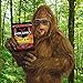 Jack Link's Beef Jerky, Sweet & Hot, 16 Ounce (Pack of 1)