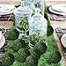 Qingbei Rina Large Green Moss Balls Decorative(4