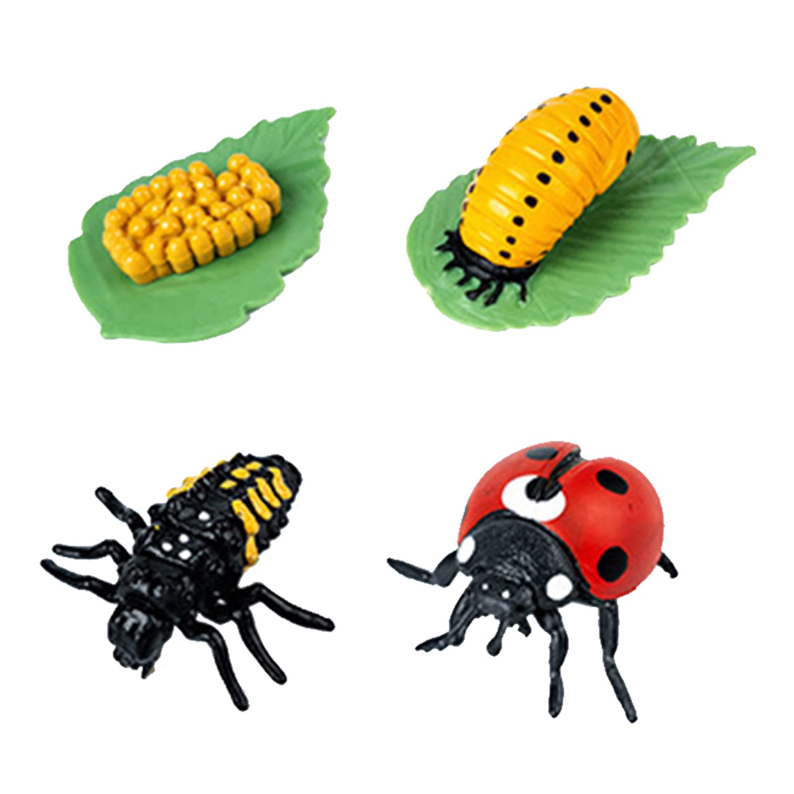 Buy Kids Building Blocks Age 2 Beetles Life Cycle Of A Growth Stage buy-kids-building-blocks-age-2-beetles-life-cycle-of-a-growth-stage