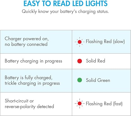 Miniatura 20 de Tenergy paquete de batería mariposa NiMH recargable de 9.6 V, 1600 mAh con mini conector tamiya para pistolas de aire comprimido