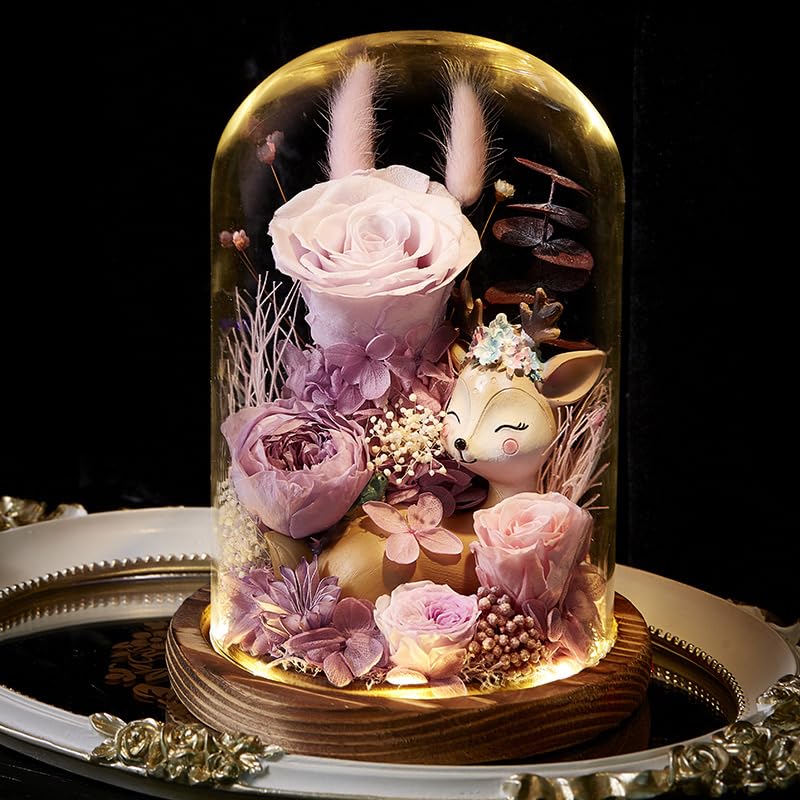 Fleur éternelle sous cloche lumineuse pour déco salon et chambre
