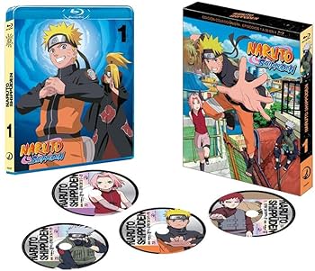 NARUTO SHIPPUDEN DVD ボックスセット 11枚セット逆輸入 NARUTO