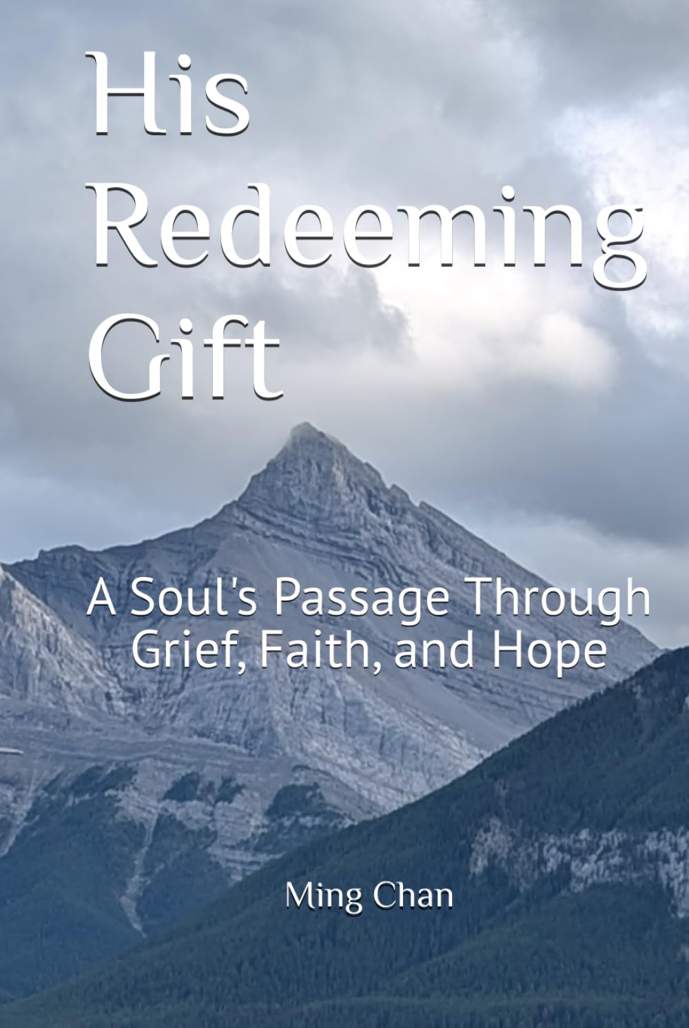 His Redeeming Gift: A Soul's Passage Through Grief, Faith, and Hope