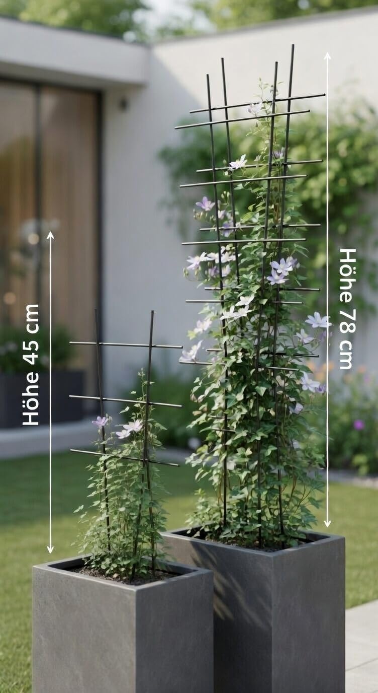 Pflanzwerk Vaso per piante rampicanti – 2 pezzi – 78 x 35 cm – aiuti per piante rampicanti – 100% antiruggine – protezione dalle radici – 100% protezione dai raggi UV – 100%