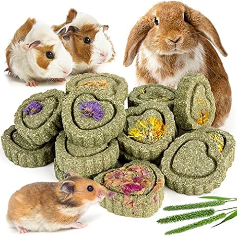 Sofier 28Pcs Timothy Hay Treats Rabbit Toys Bunny Toys Guinea Pig Toys Natural Handmade Treats and Chews for Small Animals Hamster Chinchilla Rat Gerbil Cover