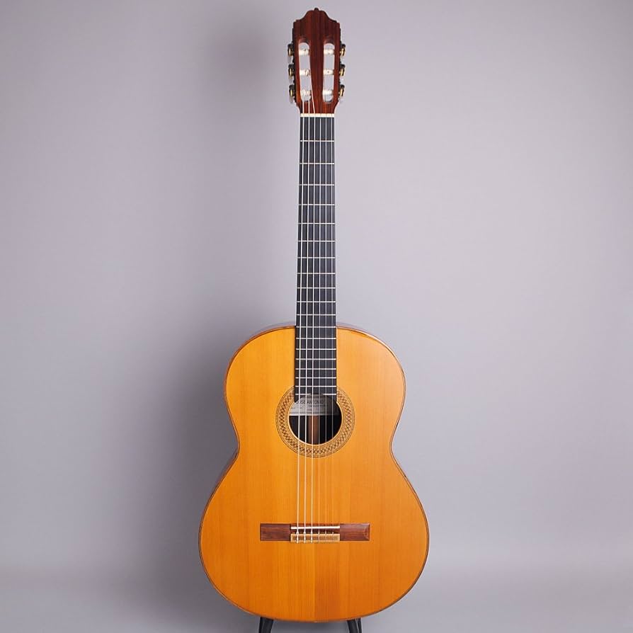 Amazon | Jose Antonio 20C/N クラシックギター (ホセアントニオ MADE