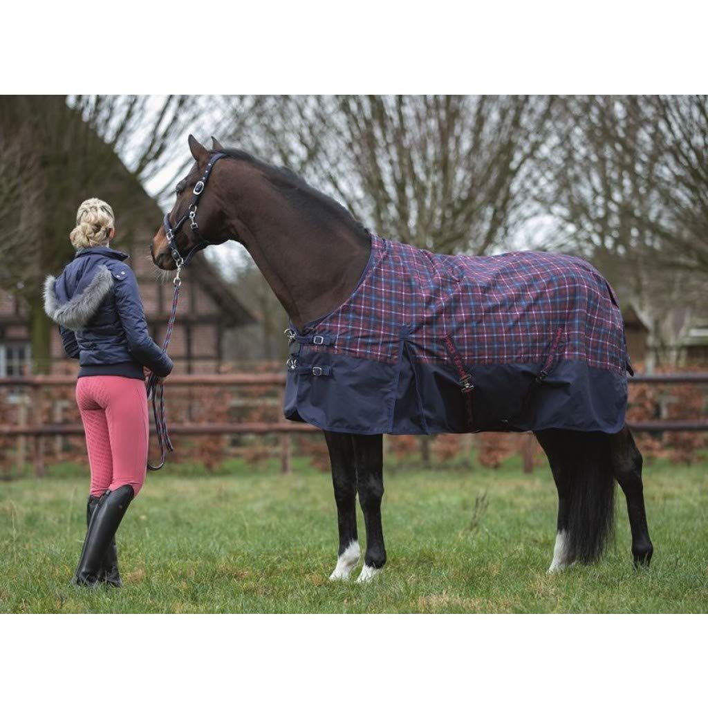 HKM Pro Team 600D Speed - Manta para caballo con relleno de algodón de 300 g, diseño a cuadros en azul y rojo