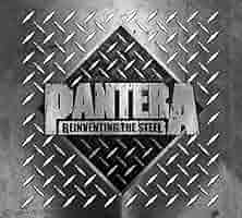 PANTERA Reinventing the Steel レコード Pantera - Reinventing The Steel (Colored Vinyl LP
