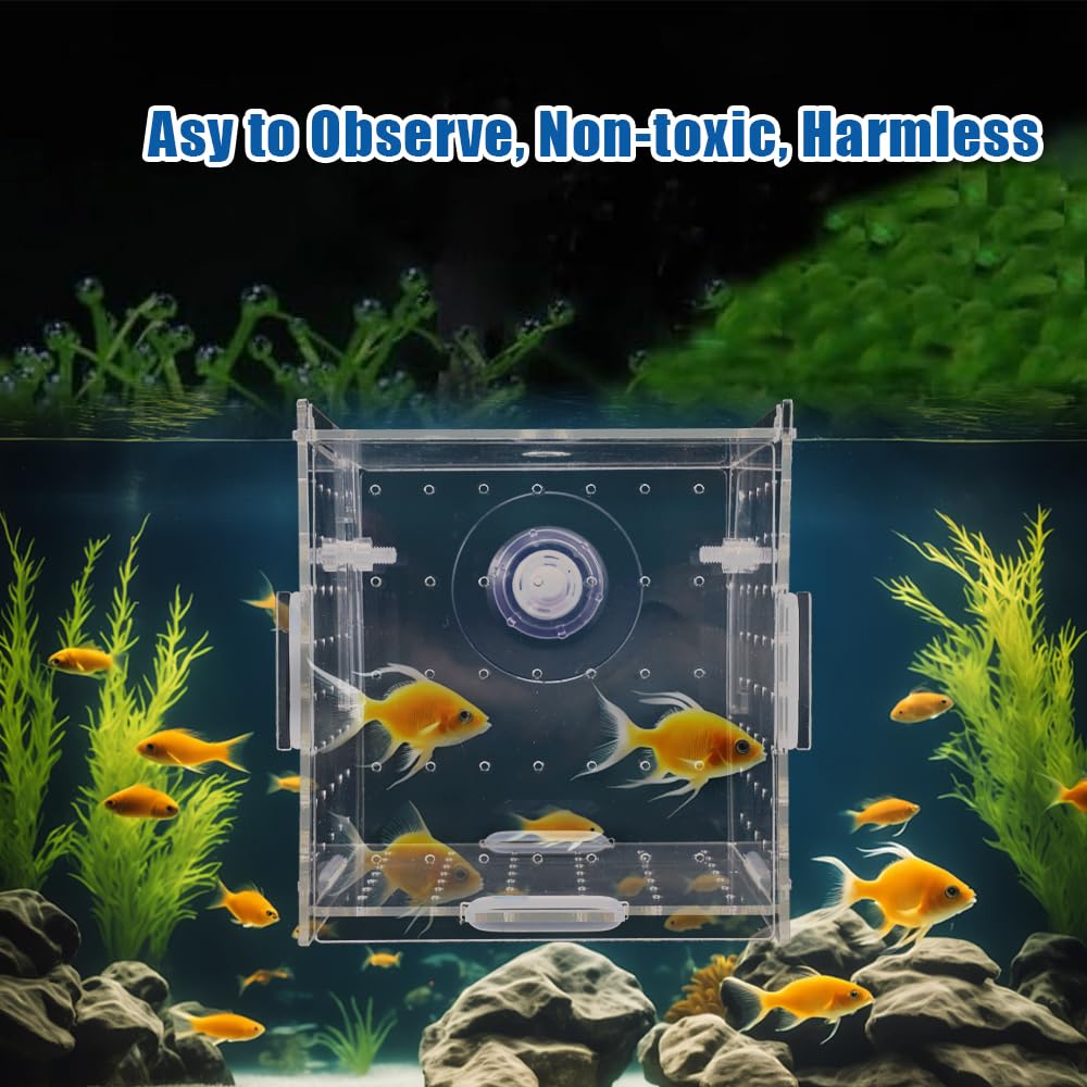10 × 10 × 10cm Allevamento per Acquario con Ventosa, Mini Terrario per Insetti, Piccola Acrilico Scatola di Allevamento, Trasparente Sala Parto Acquario, per L'isolamento, la Schiusa, la Piscicoltura