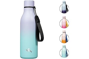 Oasis Stainless Steel Water Bottle - 18oz