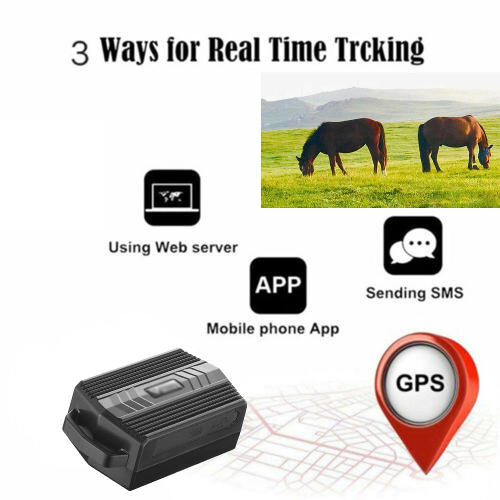 Localizador GPS para animales, rastreador antirrobo en tiempo real con monitoreo de latitud y longitud, alertas de velocidad, para ganado, ovejas y caballos