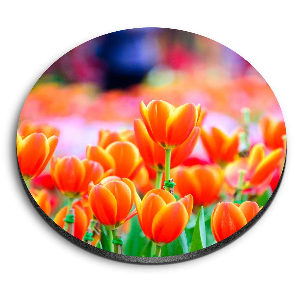 Destination Vinyl Ltd Multicolor 1 X Round Mdf Magnet - Pretty Tulip Flowers 2342-2