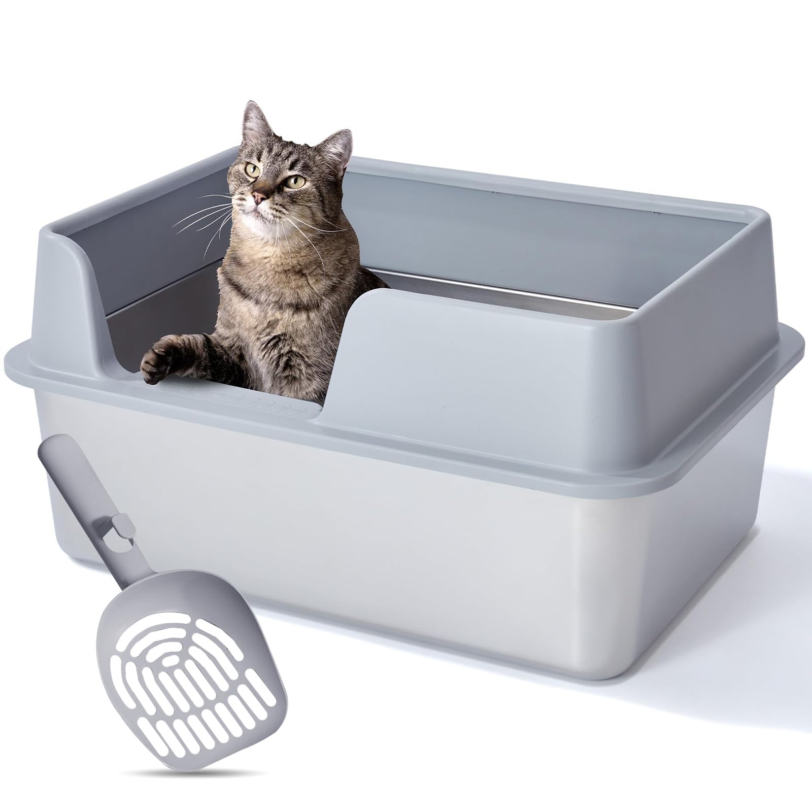 katzen trockenfutter kitten Kitten Huhn Trockenfutter | mera